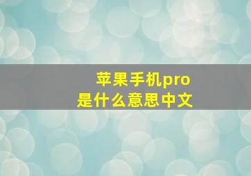 苹果手机pro是什么意思中文