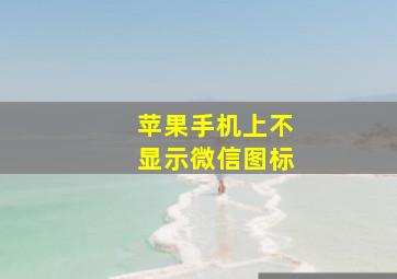 苹果手机上不显示微信图标