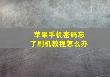 苹果手机密码忘了刷机教程怎么办