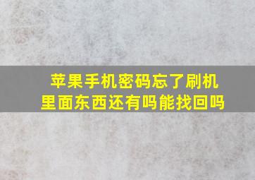 苹果手机密码忘了刷机里面东西还有吗能找回吗