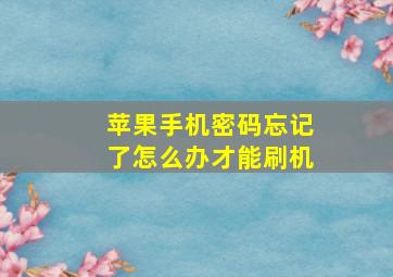 苹果手机密码忘记了怎么办才能刷机