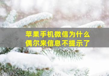 苹果手机微信为什么偶尔来信息不提示了