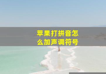 苹果打拼音怎么加声调符号