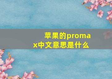 苹果的promax中文意思是什么