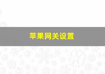 苹果网关设置