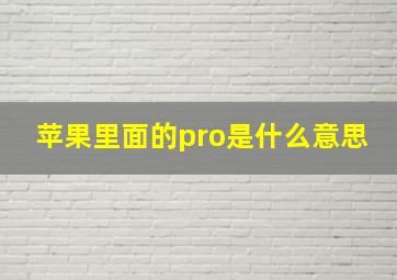 苹果里面的pro是什么意思