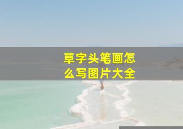 草字头笔画怎么写图片大全