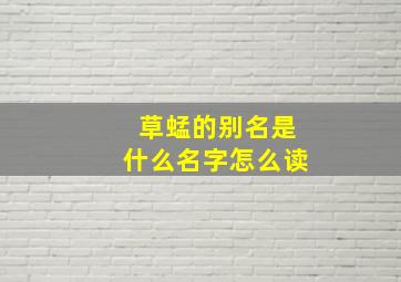 草蜢的别名是什么名字怎么读