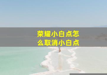 荣耀小白点怎么取消小白点