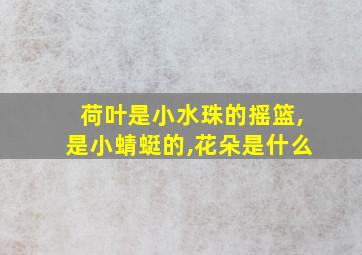 荷叶是小水珠的摇篮,是小蜻蜓的,花朵是什么