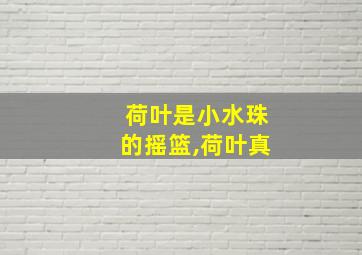 荷叶是小水珠的摇篮,荷叶真