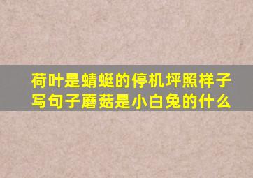 荷叶是蜻蜓的停机坪照样子写句子蘑菇是小白兔的什么