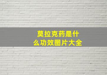 莫拉克药是什么功效图片大全