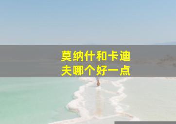 莫纳什和卡迪夫哪个好一点