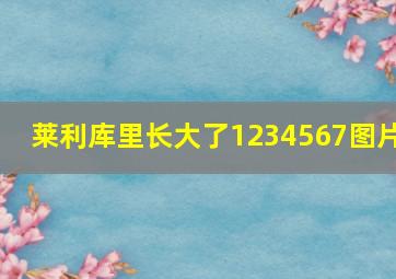 莱利库里长大了1234567图片