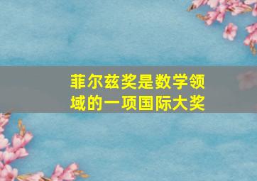 菲尔兹奖是数学领域的一项国际大奖