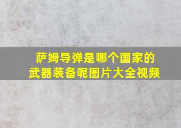 萨姆导弹是哪个国家的武器装备呢图片大全视频