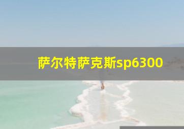 萨尔特萨克斯sp6300