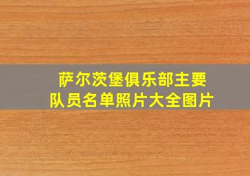 萨尔茨堡俱乐部主要队员名单照片大全图片