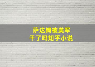 萨达姆被美军干了吗知乎小说