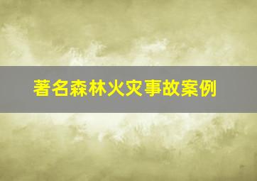 著名森林火灾事故案例