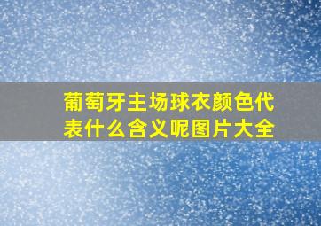 葡萄牙主场球衣颜色代表什么含义呢图片大全