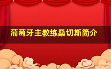 葡萄牙主教练桑切斯简介