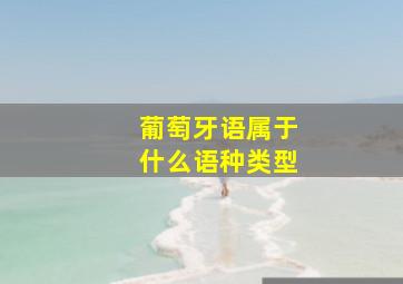 葡萄牙语属于什么语种类型