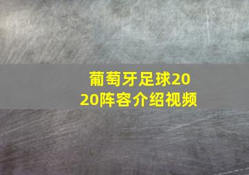 葡萄牙足球2020阵容介绍视频