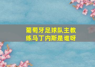 葡萄牙足球队主教练马丁内斯是谁呀