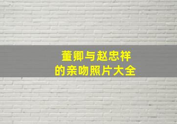 董卿与赵忠祥的亲吻照片大全