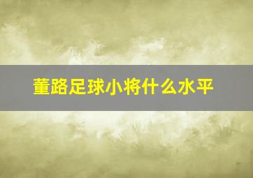 董路足球小将什么水平