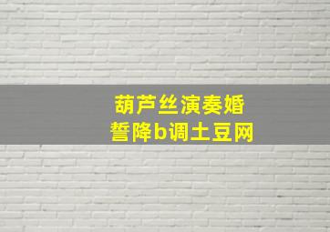 葫芦丝演奏婚誓降b调土豆网