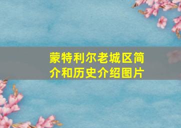 蒙特利尔老城区简介和历史介绍图片