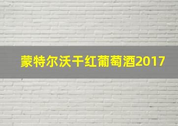 蒙特尔沃干红葡萄酒2017