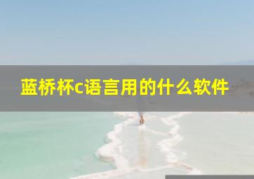 蓝桥杯c语言用的什么软件