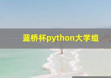 蓝桥杯python大学组