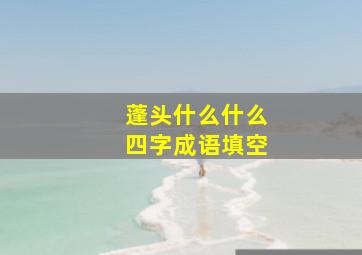 蓬头什么什么四字成语填空