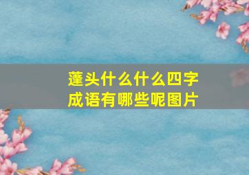 蓬头什么什么四字成语有哪些呢图片