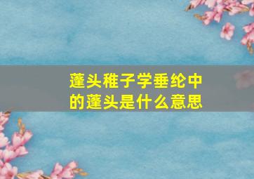 蓬头稚子学垂纶中的蓬头是什么意思