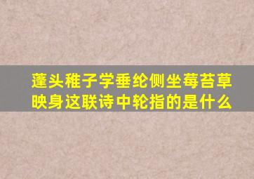 蓬头稚子学垂纶侧坐莓苔草映身这联诗中轮指的是什么