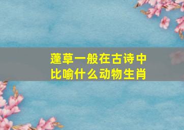 蓬草一般在古诗中比喻什么动物生肖