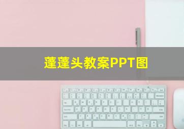 蓬蓬头教案PPT图