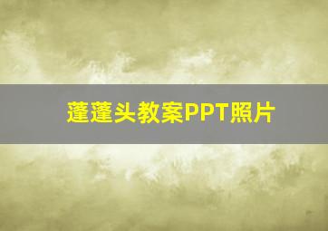 蓬蓬头教案PPT照片