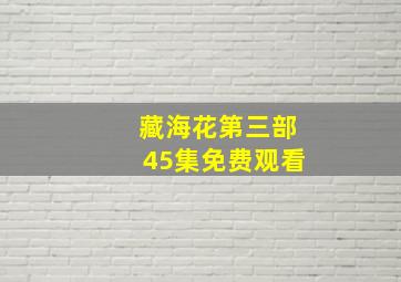 藏海花第三部45集免费观看