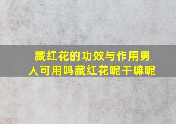 藏红花的功效与作用男人可用吗藏红花呢干嘛呢