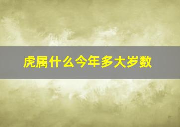 虎属什么今年多大岁数