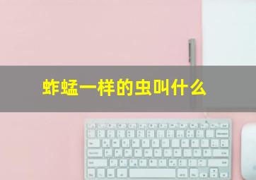 蚱蜢一样的虫叫什么