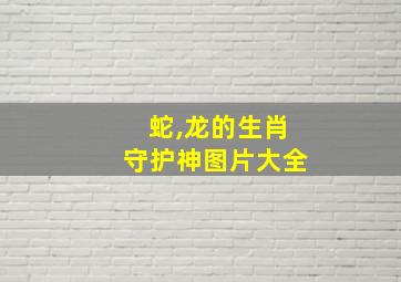 蛇,龙的生肖守护神图片大全