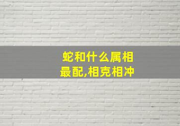 蛇和什么属相最配,相克相冲